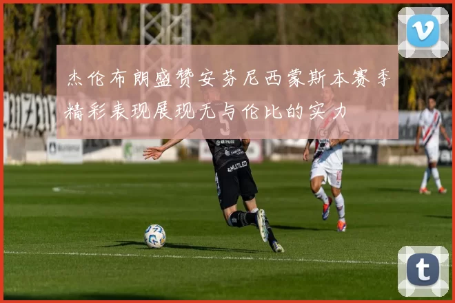 杰伦布朗盛赞安芬尼西蒙斯本赛季精彩表现展现无与伦比的实力