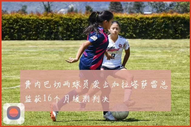 费内巴切两球员袭击加拉塔萨雷总监获16个月缓刑判决